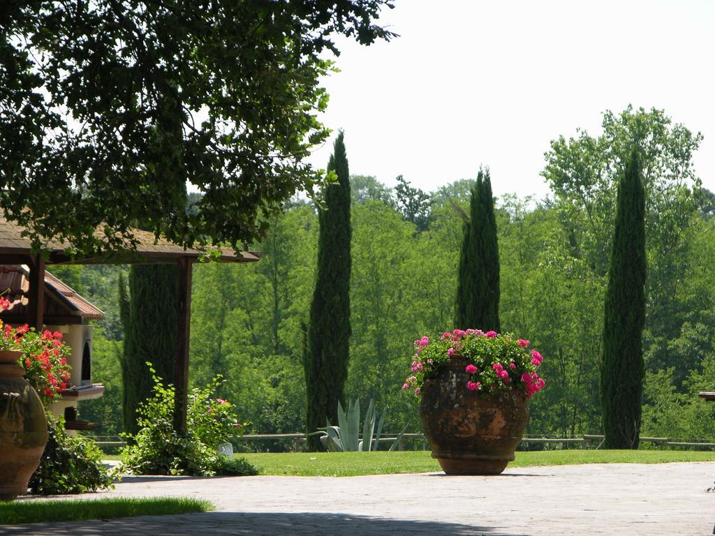 Podere Il Giurato Fauglia Exterior foto